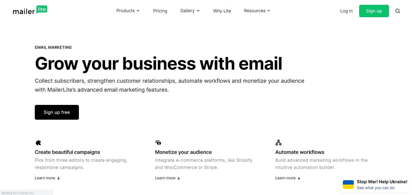 Email marketing software MailerLite