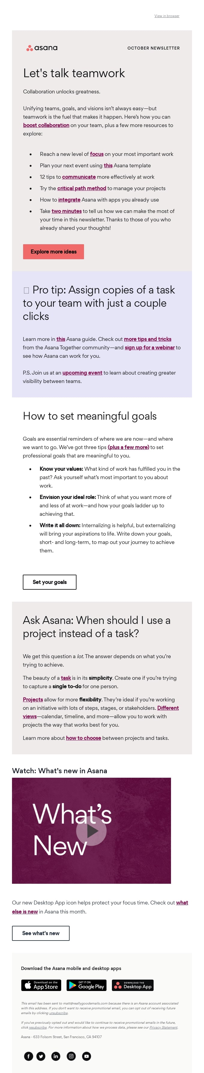 Newsletter Example Asana